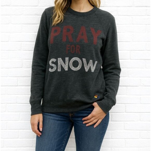 Aviator Nation Unisex Pray For Snow Long Sleeve Shirt Grey Size XS - Picture 1 of 7